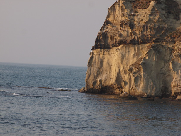 e0113915_8471144.jpg