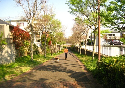 c0084117_21344512.jpg