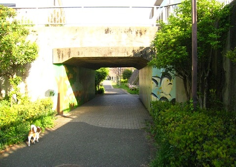 c0084117_21353569.jpg
