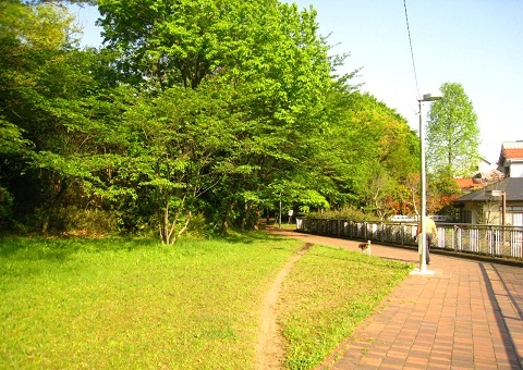 c0084117_2135598.jpg