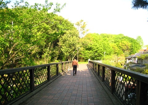 c0084117_21544020.jpg