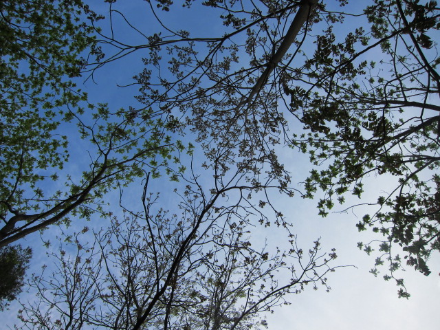 c0120817_12123582.jpg