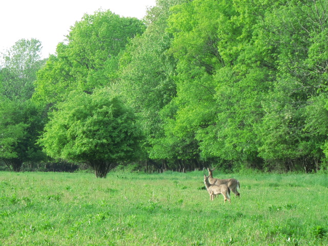 c0120817_124401.jpg