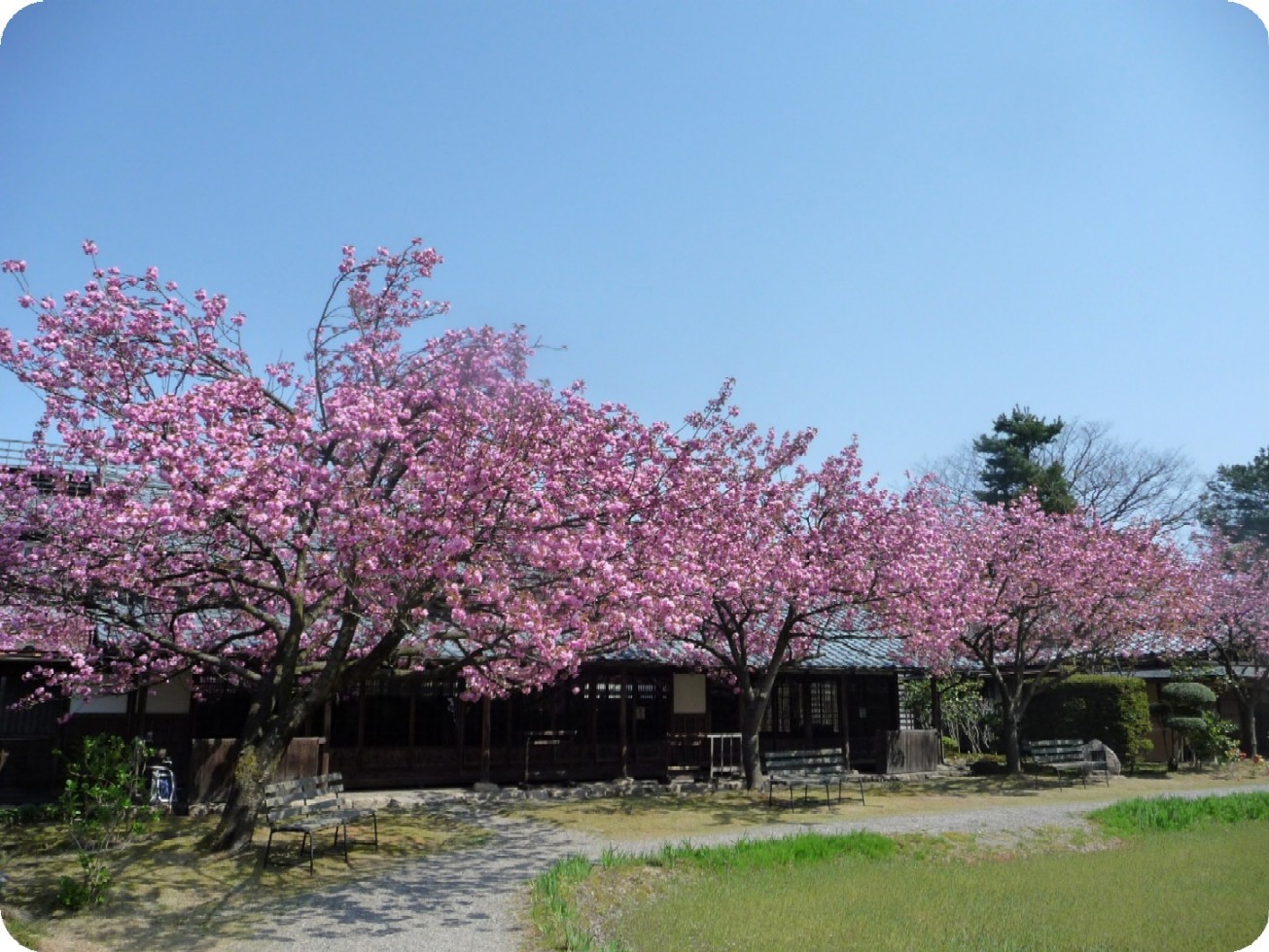 晴天のなか…_e0135219_14261590.jpg