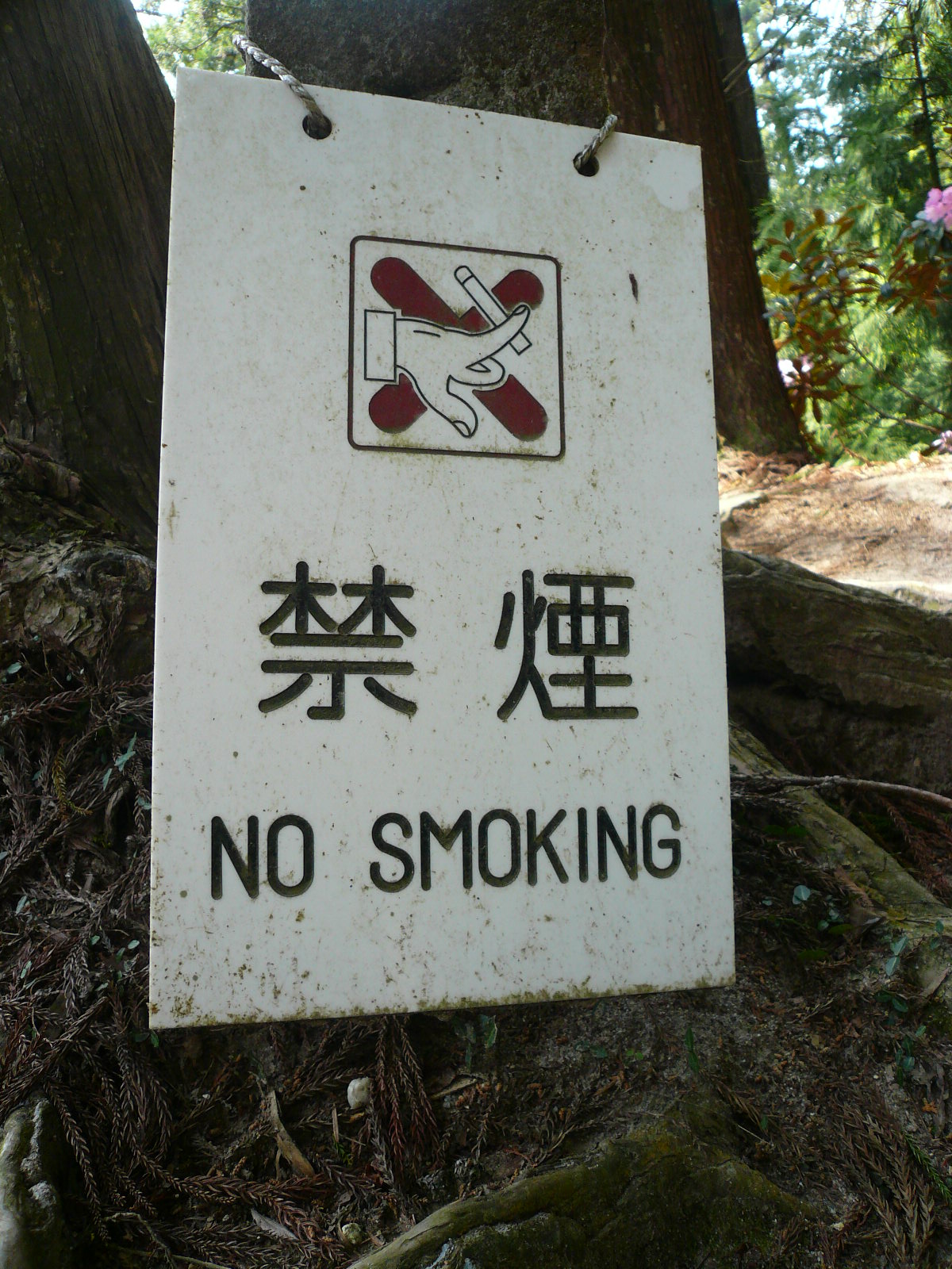f0163920_23463848.jpg