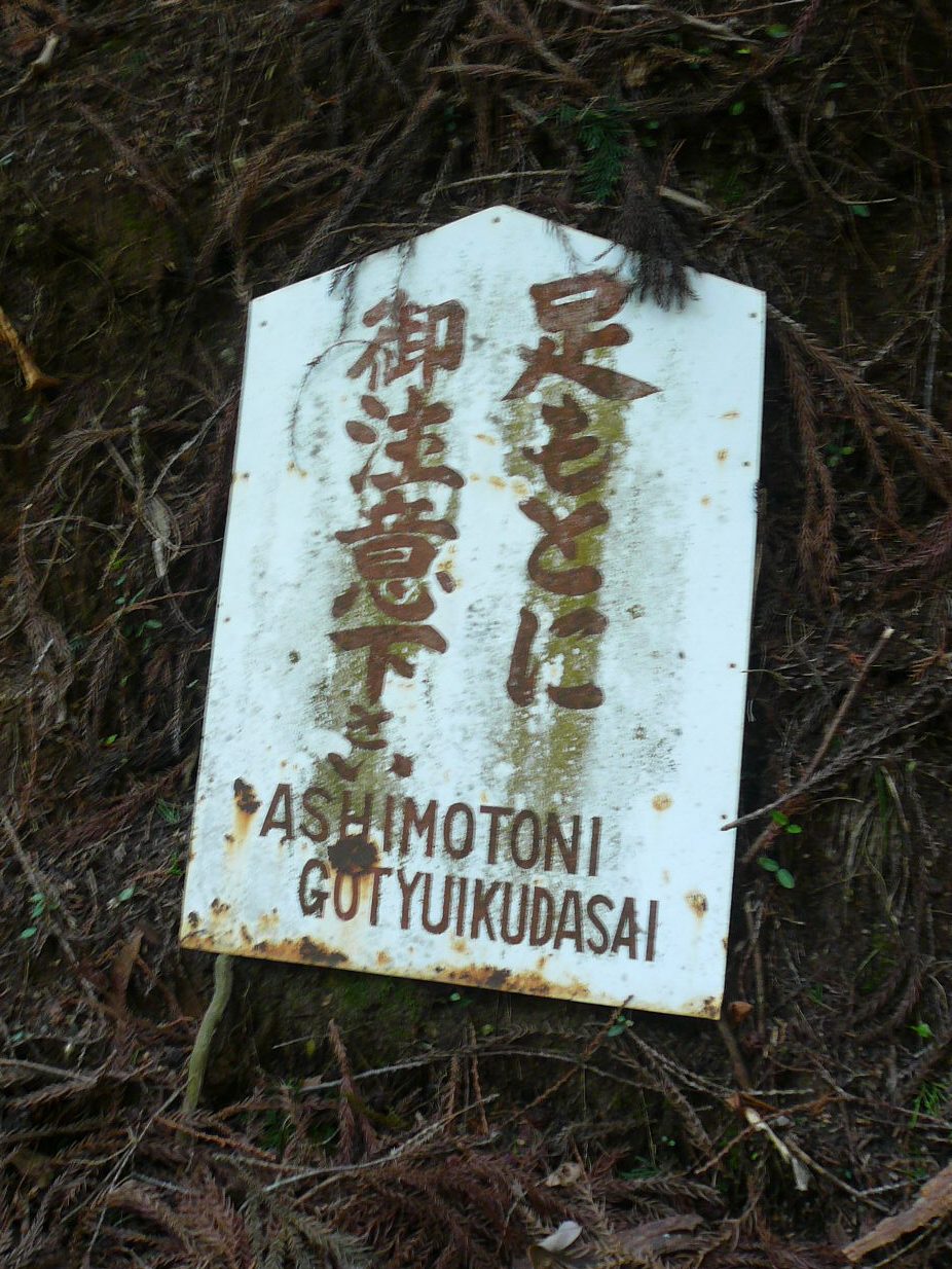 f0163920_23492961.jpg
