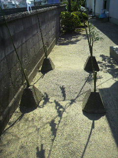 祭典_e0124021_1484250.jpg