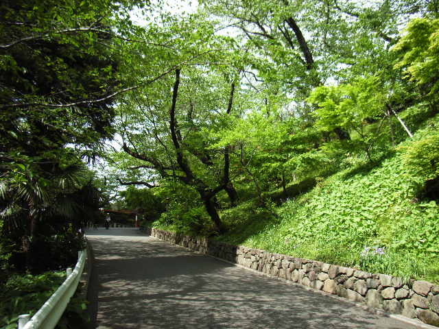 e0177824_231459.jpg