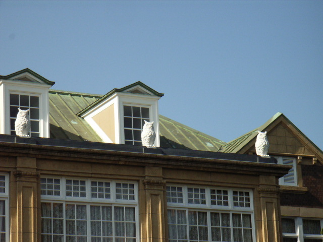 e0177824_23163634.jpg