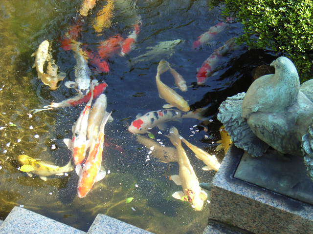 e0177824_23172064.jpg