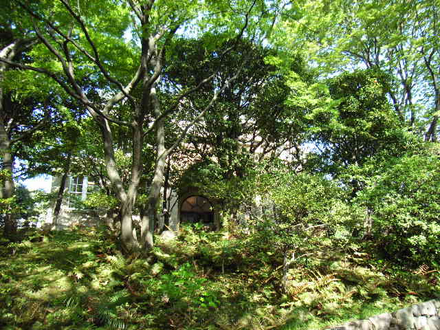 e0177824_2322875.jpg