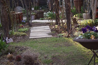 f0170524_17141483.jpg