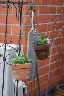 f0170524_17193797.jpg