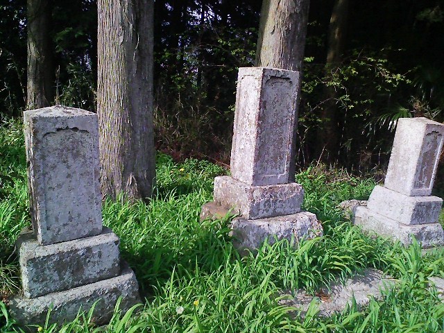 b0184725_22471826.jpg