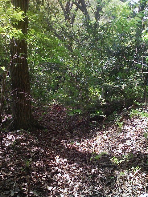 b0184725_22593450.jpg