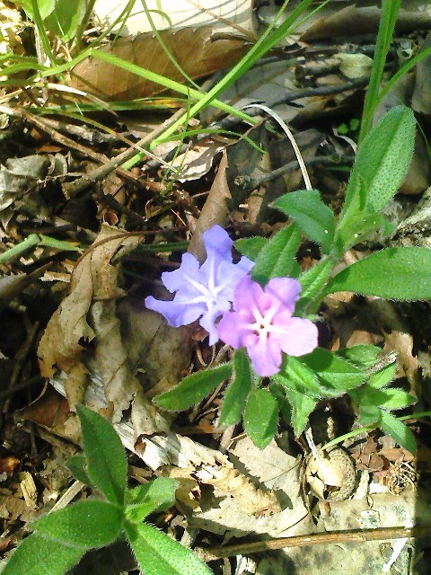 b0184725_23462977.jpg