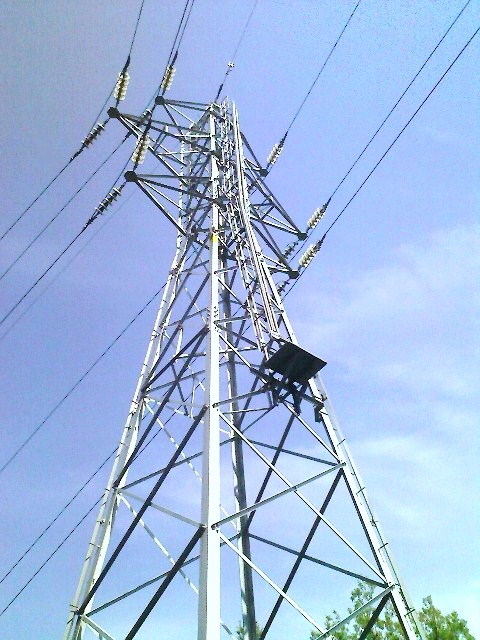 b0184725_2348341.jpg