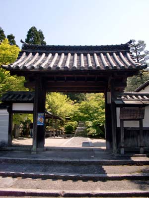 c0083527_1544847.jpg