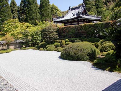 c0083527_156254.jpg