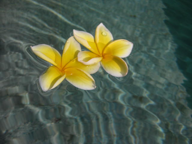 f0234427_14395315.jpg