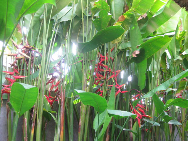 f0234427_14402035.jpg