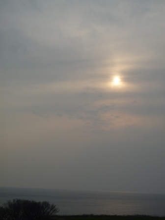 a0161728_2158165.jpg