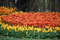 b0171428_1629539.jpg