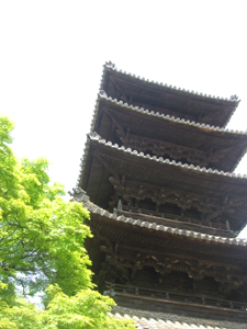 d0040729_1512084.jpg