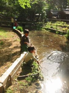 d0040729_1531333.jpg