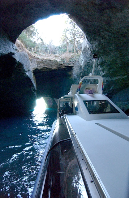 f0064530_18374025.jpg