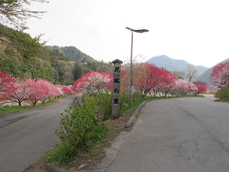 強烈に美しい春の移り変わりとGRBの芳醇なる熟成_f0076731_7395448.jpg