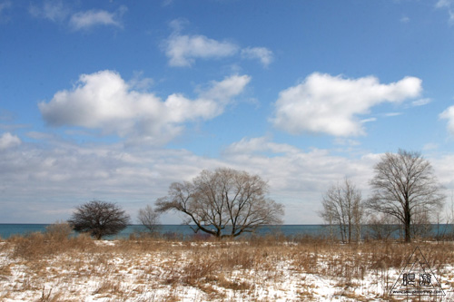 029 Tommy Thompson Park ~カモメの王国~_c0211532_10531950.jpg
