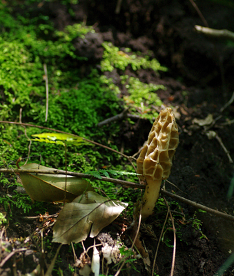 f0108133_1115190.jpg