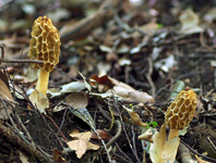 f0108133_1124421.jpg