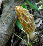 f0108133_1133864.jpg