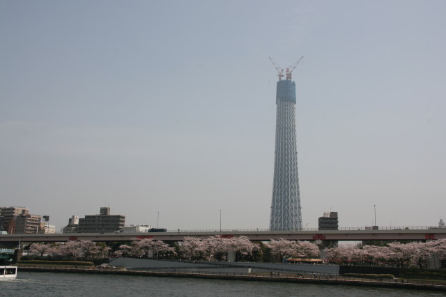 b0152234_18228.jpg
