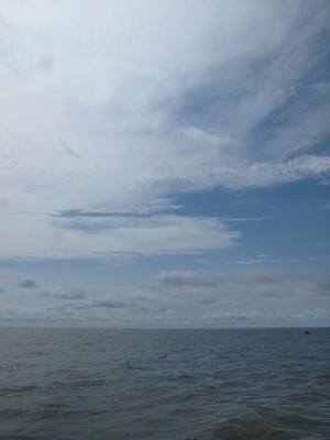 c0229234_717983.jpg