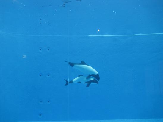 f0157736_21144964.jpg