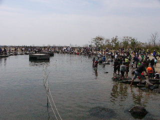f0031037_16382622.jpg