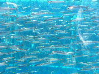 f0031037_16431920.jpg