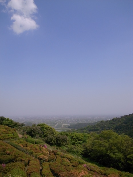 f0176239_21461688.jpg