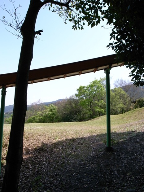 f0176239_21502031.jpg