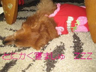 c0206342_12301632.jpg