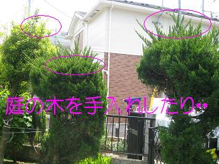 c0206342_12331967.jpg