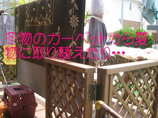 c0206342_1234207.jpg