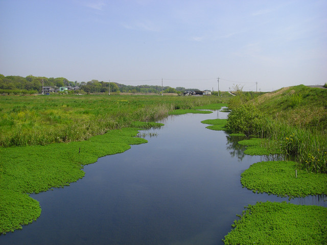 b0088444_21193367.jpg