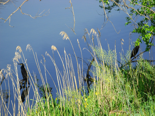 b0088444_2120538.jpg