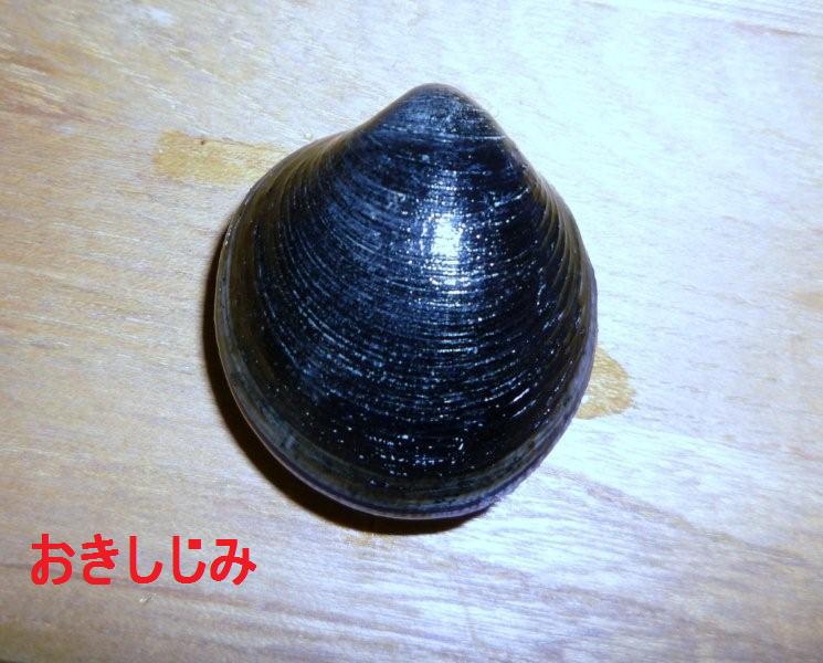 c0174644_22501242.jpg