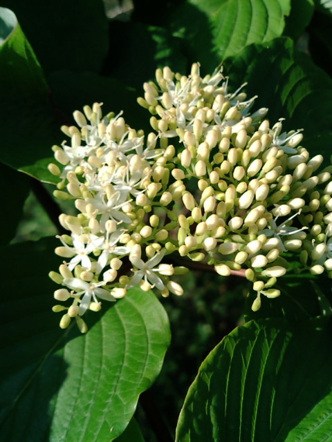 f0236744_19311343.jpg