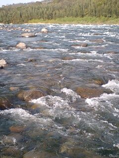 b0180946_2039372.jpg